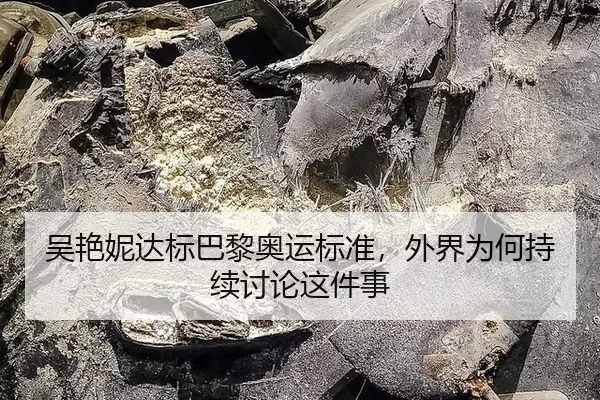 吴艳妮达标巴黎奥运标准，外界为何持续讨论这件事